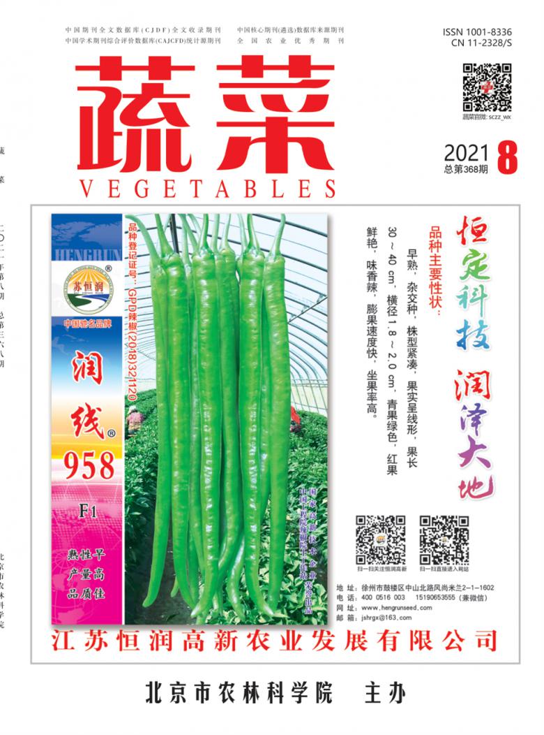 蔬菜杂志封面