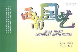 西南园艺