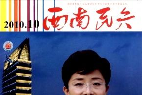 西南民兵