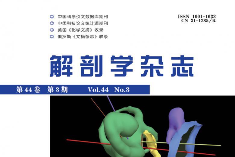 解剖学