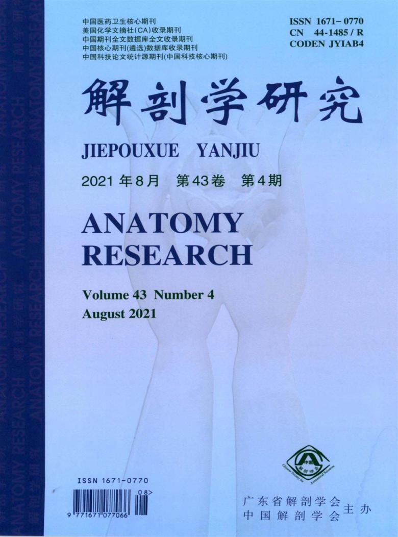 解剖学研究杂志封面
