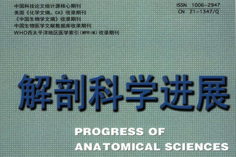 解剖科学进展