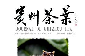贵州茶叶