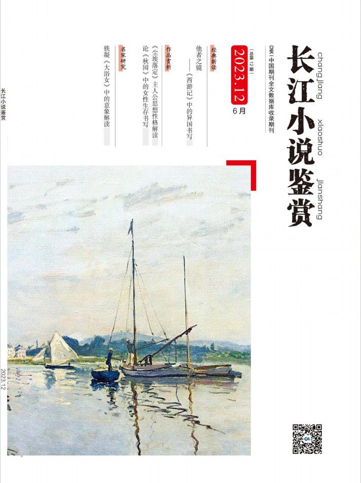 长江小说鉴赏封面