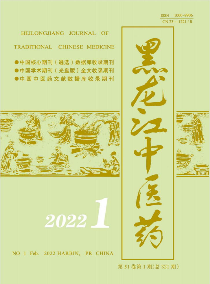 黑龙江中医药杂志封面